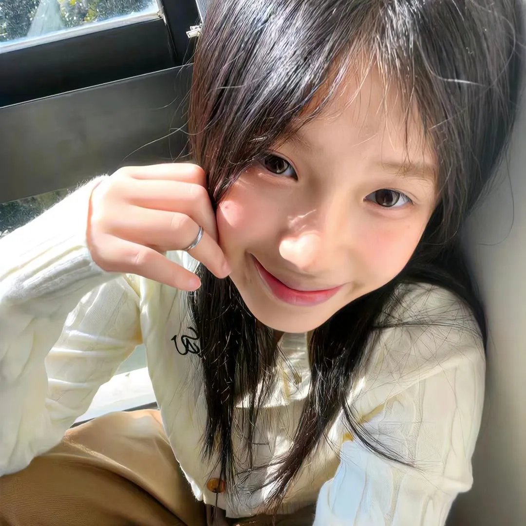 大贼与金丝猫